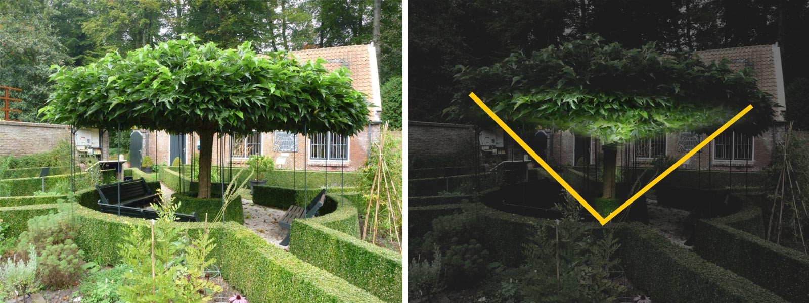 Bomen Tips voor verlichting in de tuin of balkon (Hulp bij van SLV Nederland)