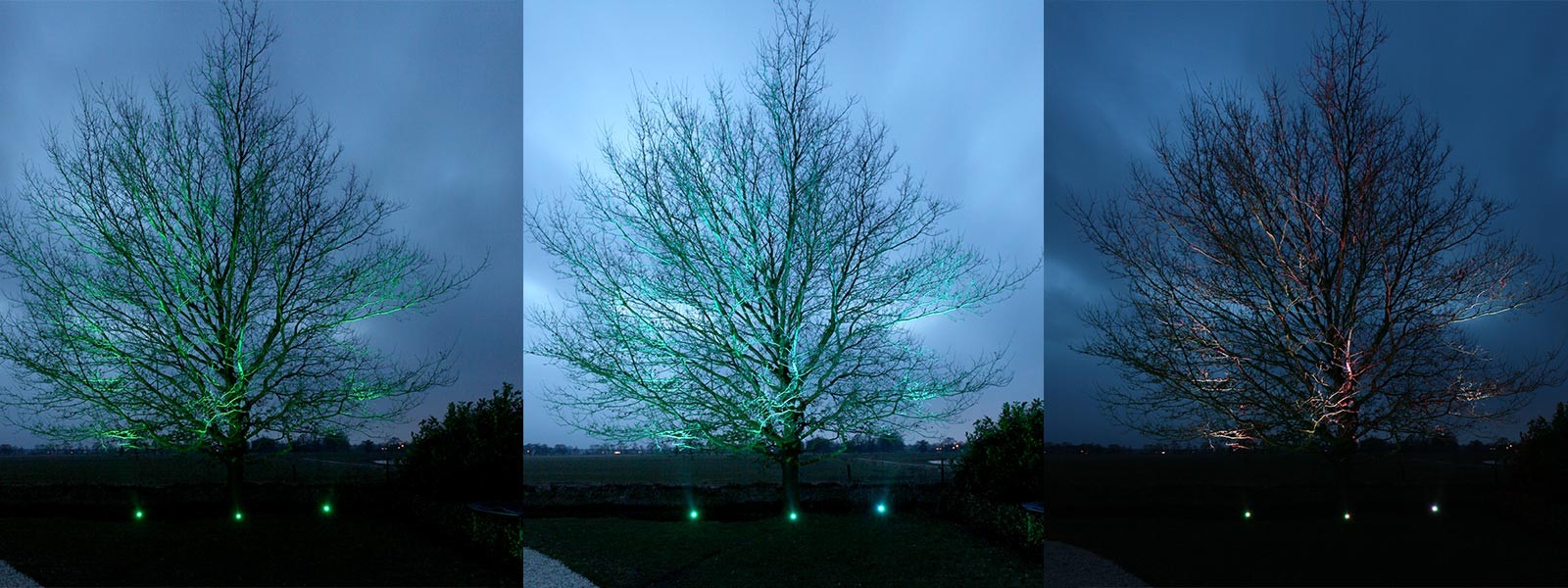 hemel Verbazing Verzwakken Bomen aanlichten? Tips voor verlichting in de tuin of op het balkon (Hulp  bij verlichting van SLV Nederland)